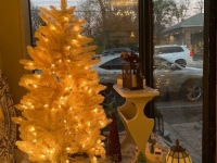 157d4097-0999-4382-adf8-fc541fff4922