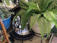 2b36f313-c0cc-4d62-a308-ec5bb3e1a3d6