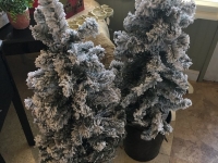 4331a9f4-5801-4417-b6dc-481fce8a49af