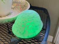 4d587fb2-4281-4629-871b-a68bc91d7ad0