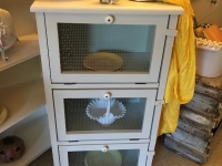 5a09bf60-4386-4fbd-9b05-6f799c0df979