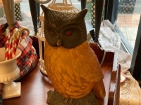 5fe25250-faf9-44c5-b17c-fae26cf7ed17