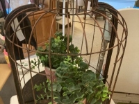 91fb1e85-1acd-4238-9b67-0558af607d7c