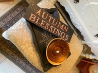 92f24c21-d583-4f67-ba3b-18a8b8e4a9aa