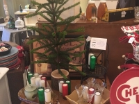 cede7b02-6c02-41e9-b693-cc1078be00a8