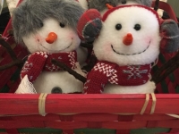 e7c1b709-a467-4367-9fcf-1d0426be7f14