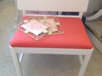 Upholstered little bench