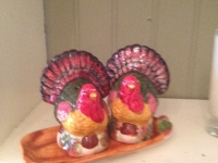 Turkey close up