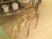 Reindeer