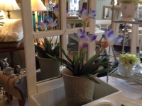 Window box mirror