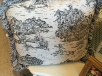 Toile pillow