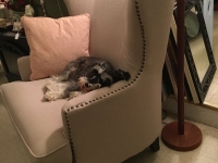 Gorgeous side chair