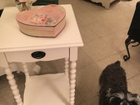 Haddie loves this side table